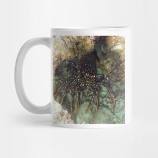 Caribbean Spotted Lobster at night Mug